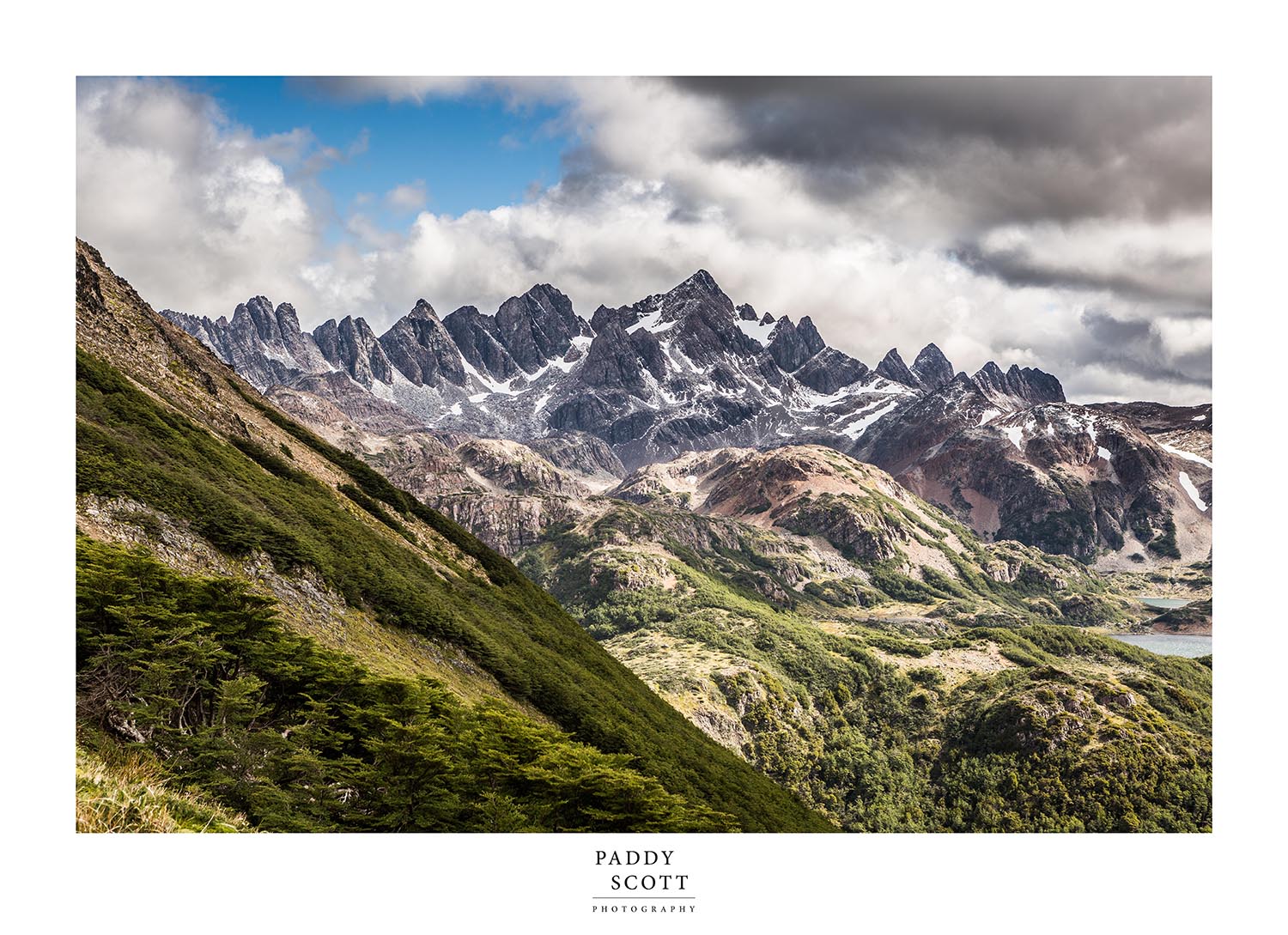 Dientes de Navarino